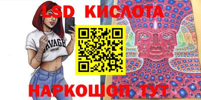 гидра Рыбинск