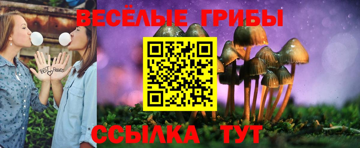 Псилоцибиновые грибы Cubensis Сургут